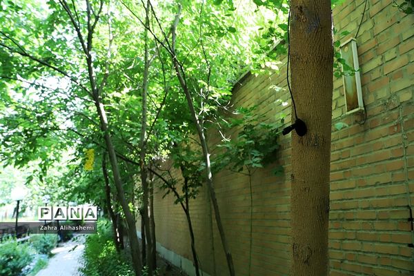 تولید محتوای سازمان دانش آموزی شهر تهران در منطقه 14