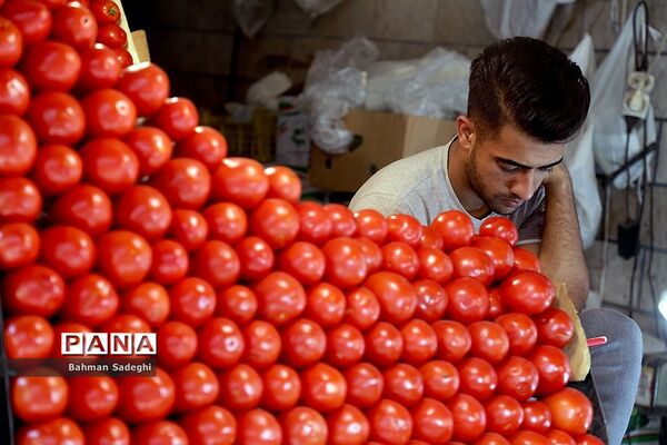 کرونا در کمین شهرستانی ها