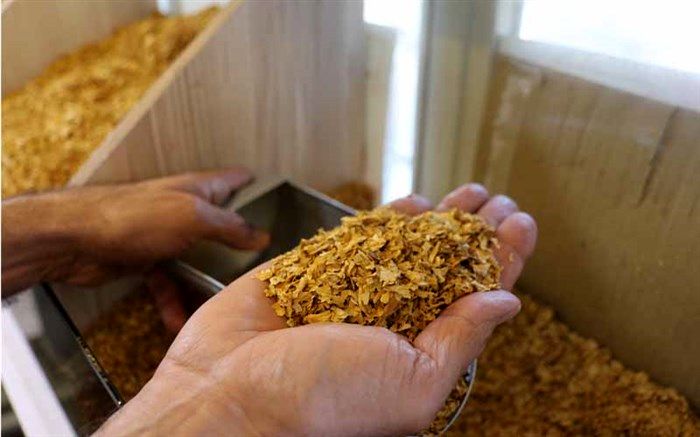 کشف ۹ میلیارد توتون و تنباکو در جنوب تهران