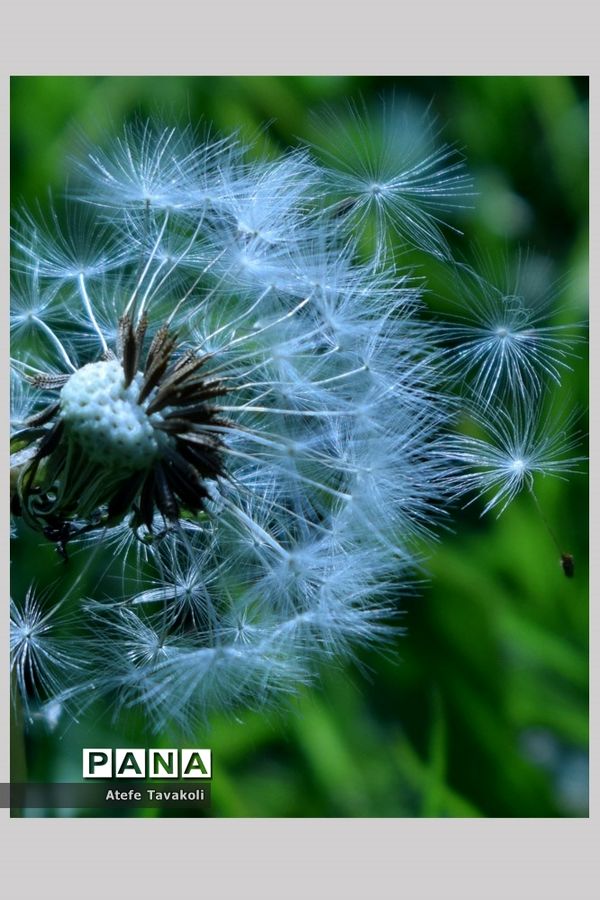 نمایشگاه مجازی آثار هنرجویان هنرستان نمونه دولتی مهر در شیراز