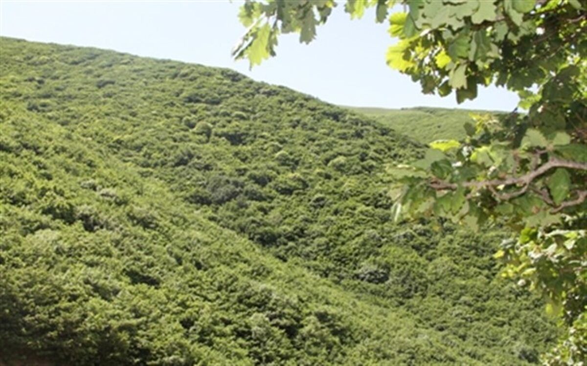 سه هزار و ۹۰۰ هکتار از اراضی ملی استان اردبیل رفع تصرف شد