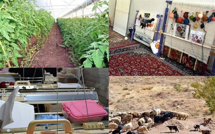 ایجاد اشتغال برای روستائیان با همکاری ستاد اجرایی فرمان امام راحل