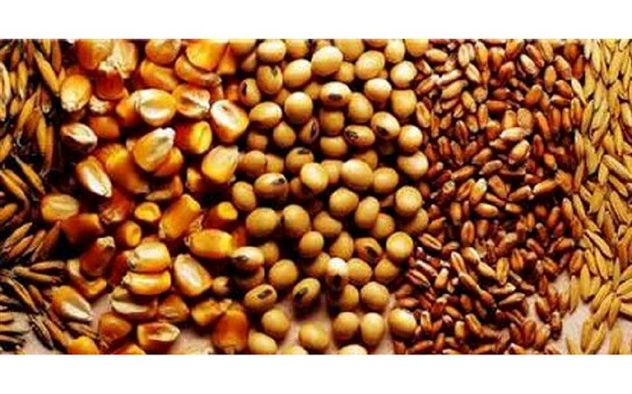انتقاد از عملکرد وزارت جهاد در توزیع نهاده های دامی
