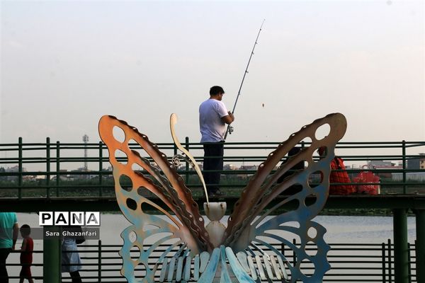 تالاب نیلوفر آبی بابل