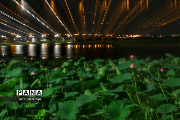 تالاب نیلوفر آبی بابل