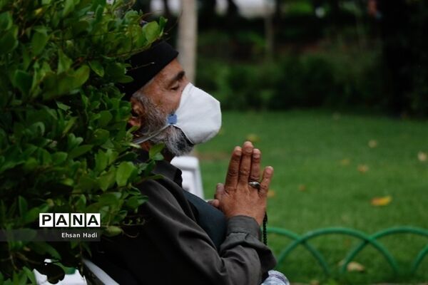 مراسم دعای عرفه در مشهد