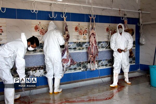 دیدارمسئولان از قربانگاه های شهرستان خوسف در عید قربان