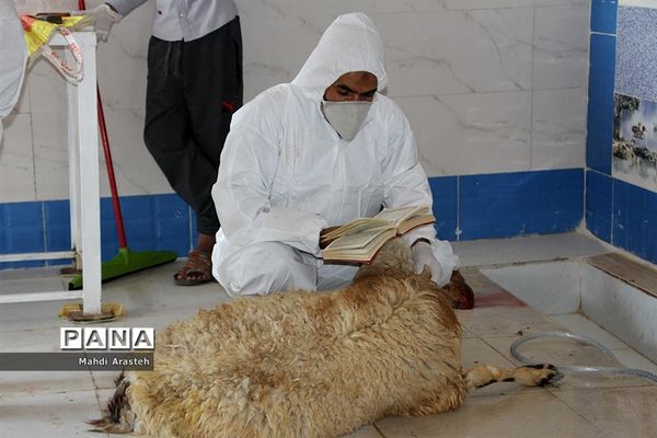 دیدارمسئولان از قربانگاه های شهرستان خوسف در عید قربان
