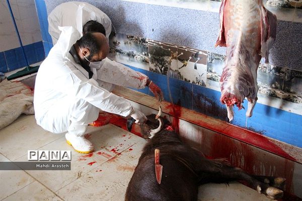 دیدارمسئولان از قربانگاه های شهرستان خوسف در عید قربان