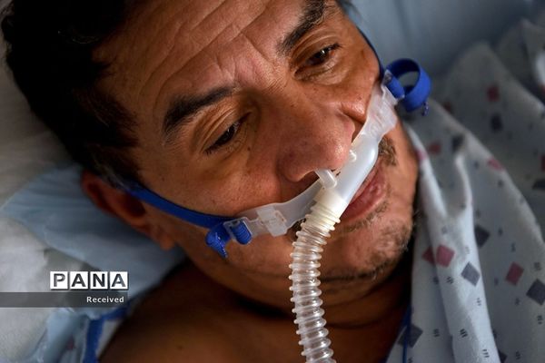 کرونا همچنان قربانی میگیرد