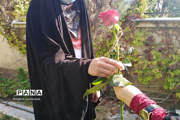 اهدای 1000 شاخه گل رزبه شهروندان شیرازی  به مناسبت عید غدیر
