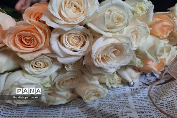 اهدای 1000 شاخه گل رزبه شهروندان شیرازی  به مناسبت عید غدیر