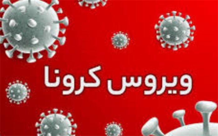 ۳۱۹ بیمار در بخش‌های کرونایی استان بوشهر بستری هستند