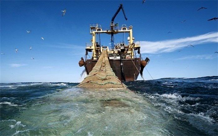صید «ترال» ممنوع شد