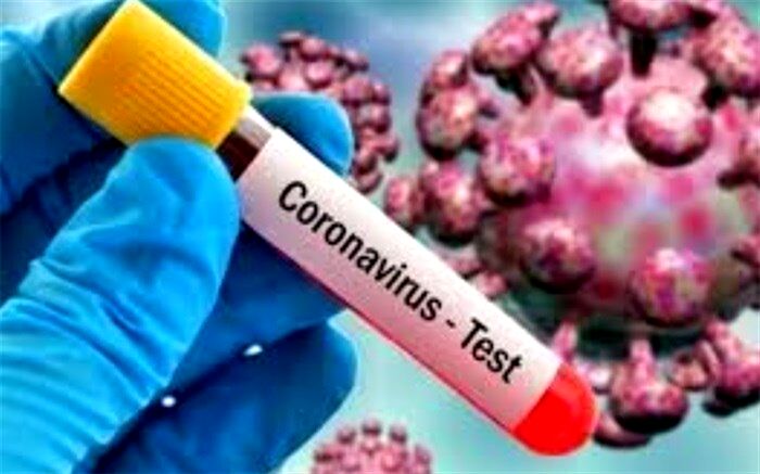 ۳۰۶ بیمار در بخش‌های کرونایی استان بوشهر بستری هستند