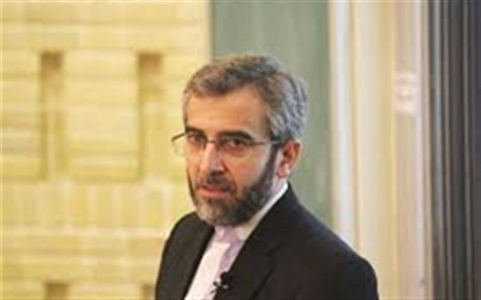 باقری کنی: گزارش گزارشگر حقوق بشر وجاهت حقوقی ندارد