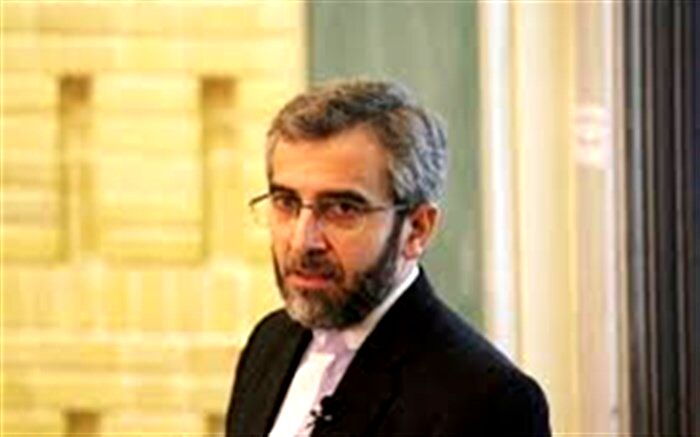 باقری کنی: گزارش گزارشگر حقوق بشر وجاهت حقوقی ندارد
