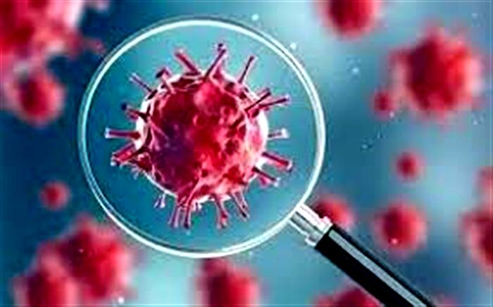 همکاری نمکی و آذری‌جهرمی برای مهار اپیدمی کووید۱۹
