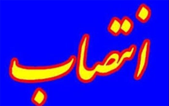 مشاور امور راهبردی سازمان پژوهش و برنامه ریزی آموزشی منصوب شد