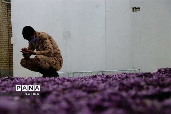 قرارگاه جهادگران اقتصادی زعفران