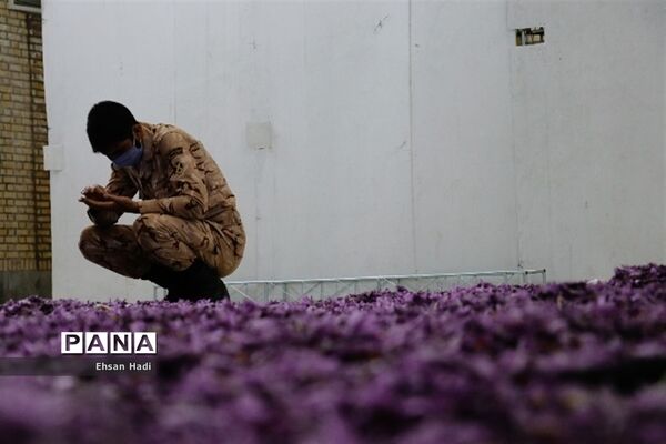 قرارگاه جهادگران اقتصادی زعفران