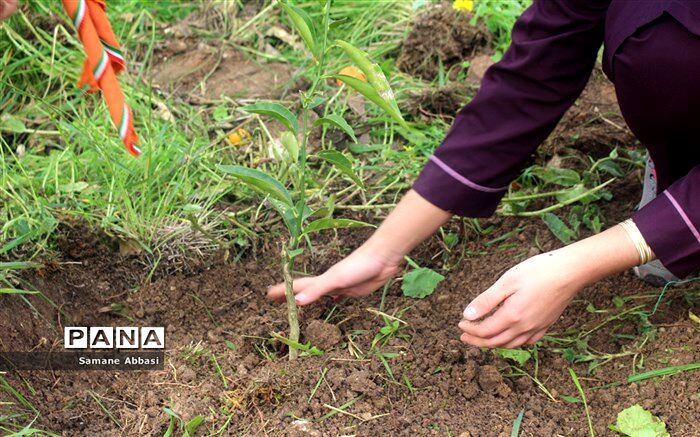 دانش‌آموزان مازندران عضو انجمن خیران محیط زیست «دارداری تبرستان» می‌شوند