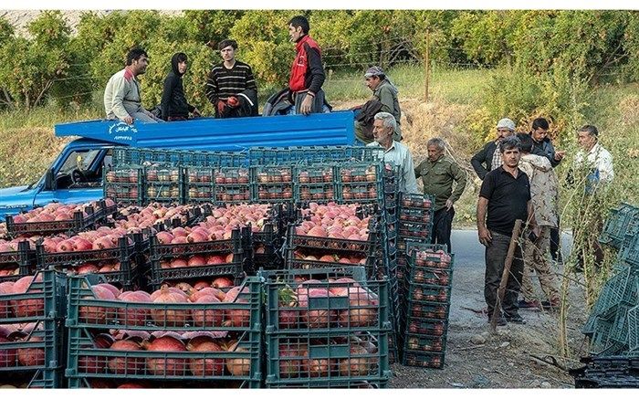 شهرضا وضعیت خوبی از نظر ابتلا و مرگ کرونا ندارد