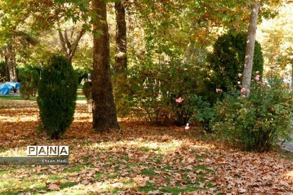 جلوه گری پاییز در مشهد