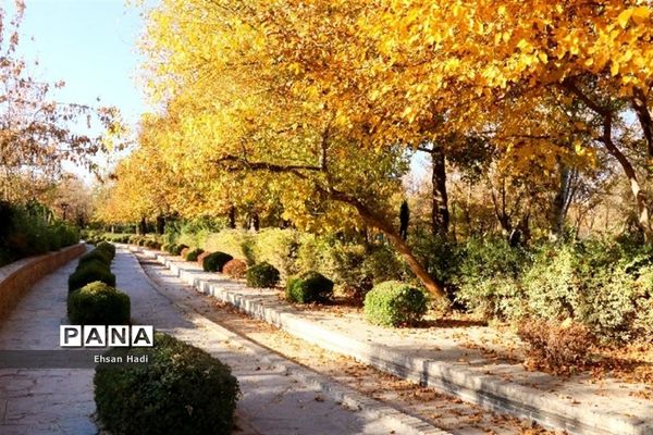 جلوه گری پاییز در مشهد