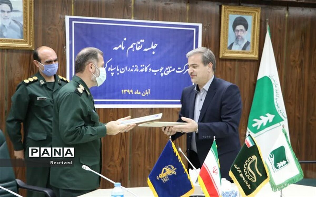 یک میلیون نهال در پروژه زراعت چوب مازندران کاشته می‌شود