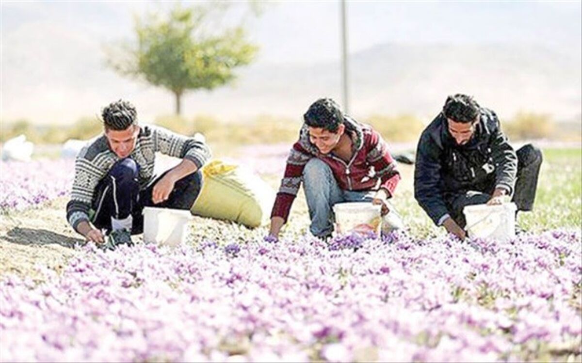 جذب توریست با کلید «فائو»