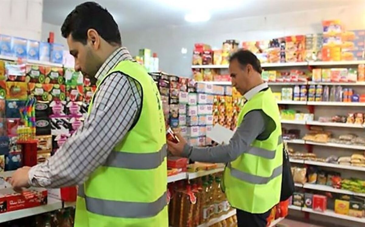 گوشت، نهاده‌های دامی و روغن زیر ذره بین سازمان صمت