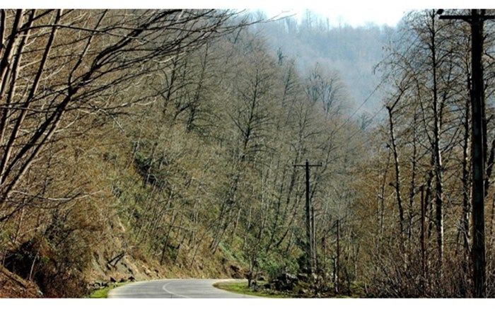 هوای نسبتا پایدار اوایل هفته در گیلان