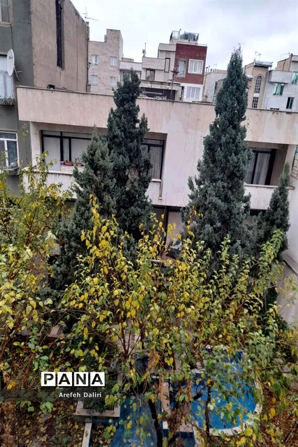 آن سوی قرنطینه