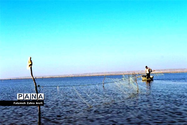 تلاش صیادان سیستانی برای کسب روزی از تالاب بین المللی هامون