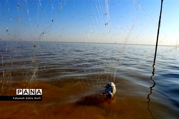 تلاش صیادان سیستانی برای کسب روزی از تالاب بین المللی هامون