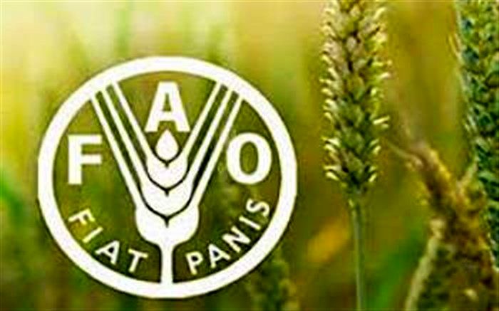 مقاومت میکروبی امنیت غذایی و معیشت میلیون‌ها خانوار کشاورز را تهدید می‌کند