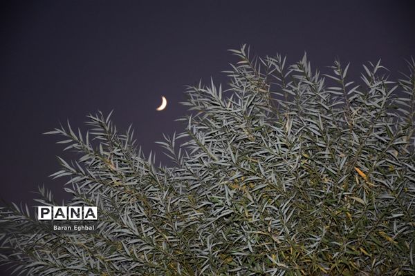 آن سوی قرنطینه-۲