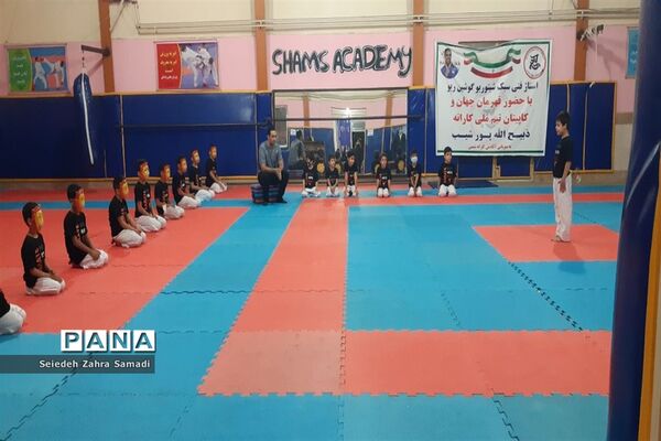 برگزاری دوره آموزشی تکنیکی کاراته در خانه کاراته ملارد