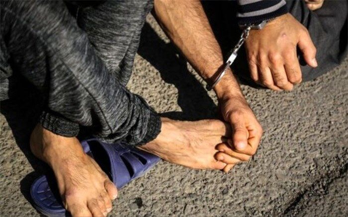 اجرای طرح عملیاتی مبارزه با سرقت‌های خشن در ۲۴ استان کشور