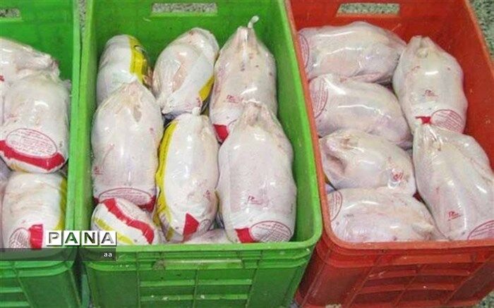 جزئیات توزیع مرغ تنظیم بازاری در تهران