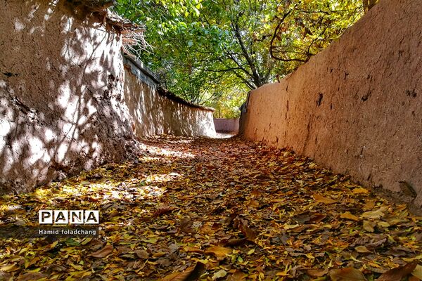 پاییز هزار رنگ باغ‌های شهرستان نی ریز