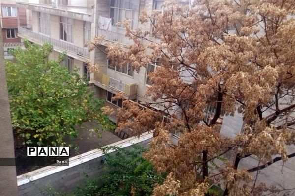 آن سوی قرنطینه-3