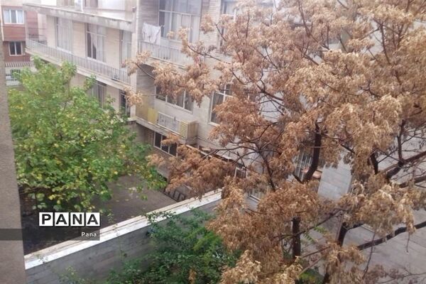 آن سوی قرنطینه-3