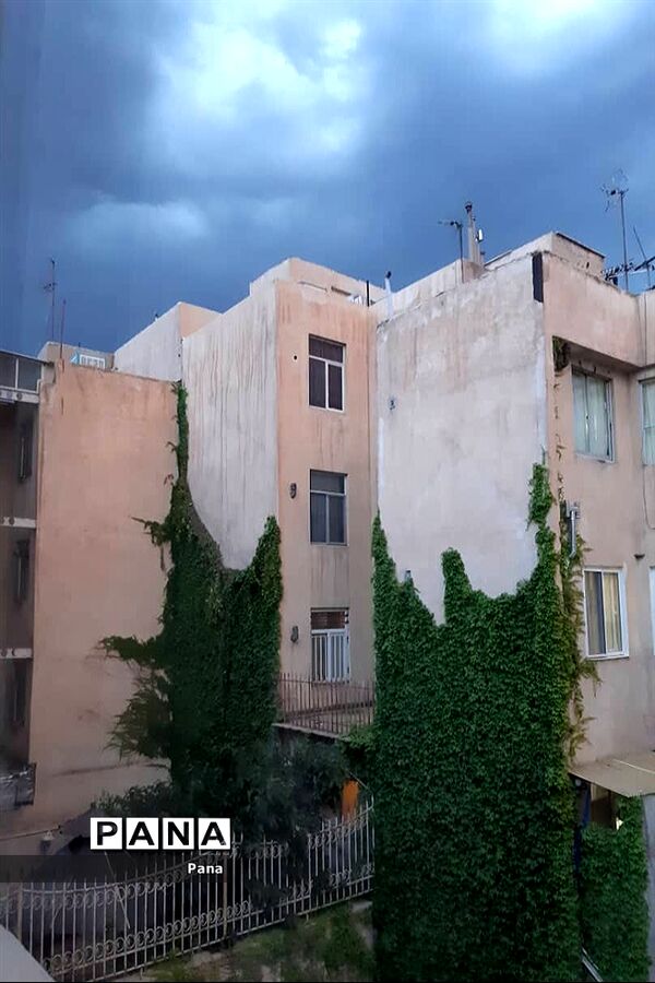 آن سوی قرنطینه-3