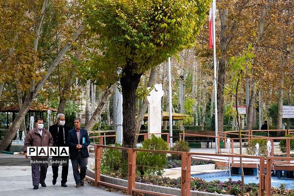ورزش در پارک زیر سایه کرونا