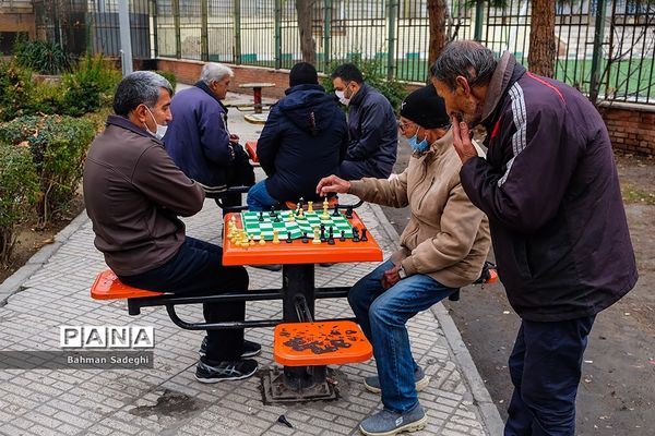 ورزش در پارک زیر سایه کرونا