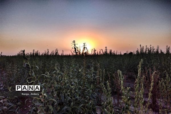 سفر یک‌روزه به روستاهای اطراف امیدیه