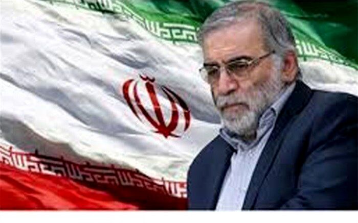 مجامع بین المللی برای تعقیب عاملان ترور شهید فخری‌زاده همکاری کنند