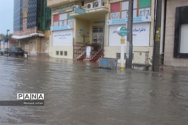 بارش شدید باران در بوشهر